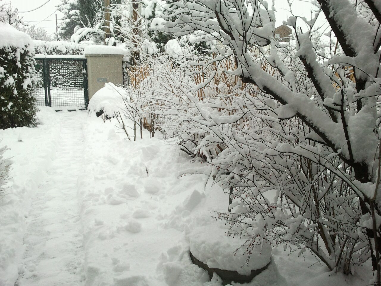 Sehr viel Schnee im Februar